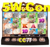 CC77 Bet